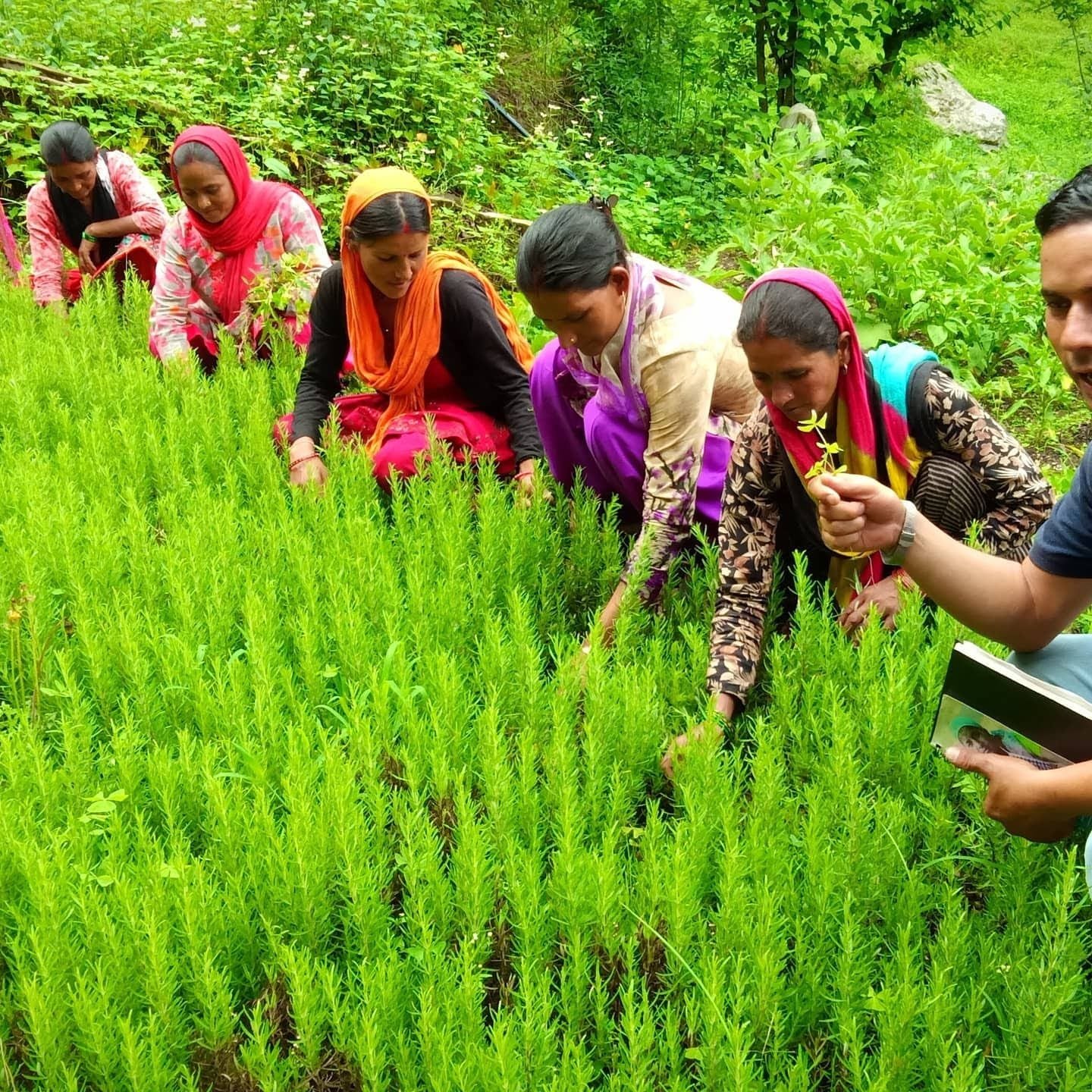 This is Timeline Item 3 Title