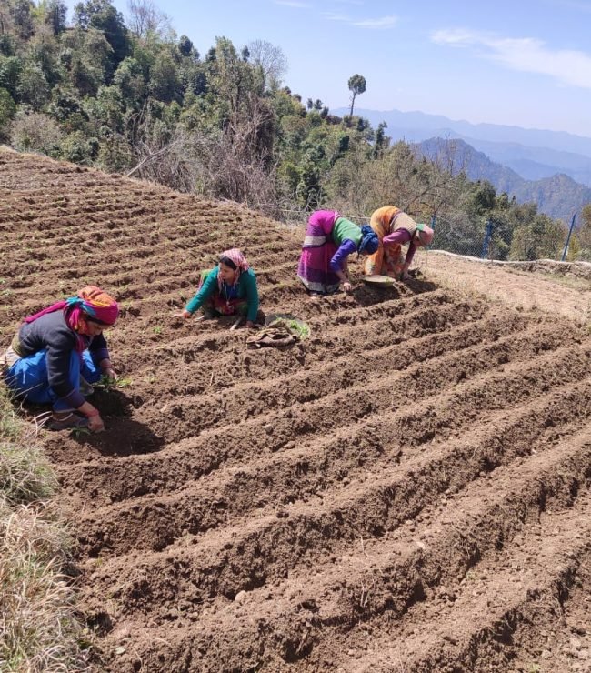 WhatsApp Image 2023-05-05 at 11.58.35 AM (2)